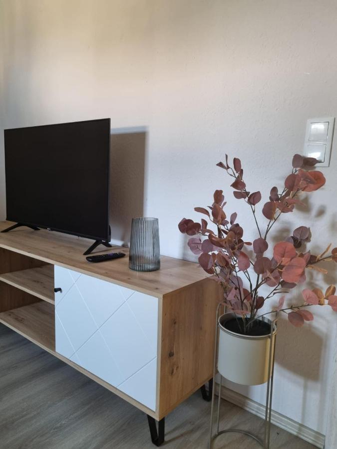 Modern Eingerichtet-Stadtnah-Ferienwohnung Mit Geschirrspueler Und Waschmaschine Friedland  Экстерьер фото